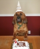 Webb with cake Webb with cake